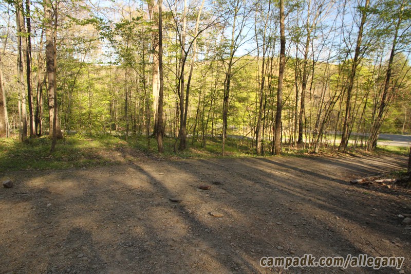 Campsite Photo of Site 164 at Allegany State Park, New York - Cross Site View