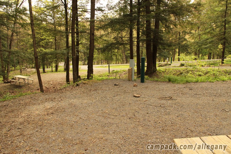 Campsite Photo of Site C3 at Allegany State Park, New York - Cross Site View