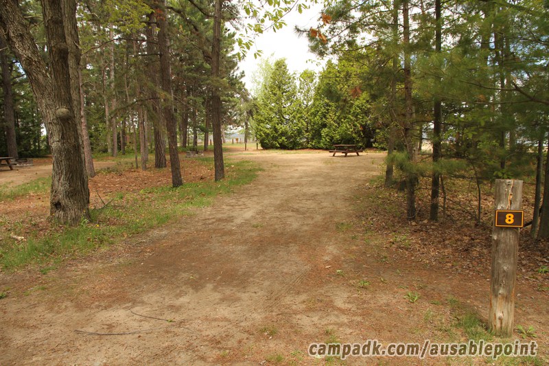 Campsite Photo of Site 8 at Ausable Point Campground, New York - Looking at Site from Road Sign Visible