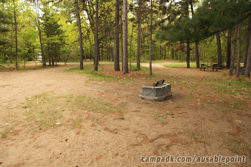 Campsite Photo of Site 8 at Ausable Point Campground, New York - Cross Site View