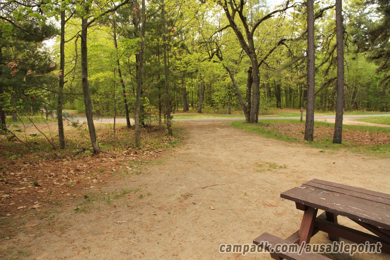 Campsite Photo of Site 8 at Ausable Point Campground, New York - Looking Back Towards Road