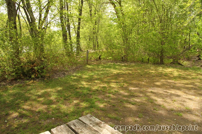Campsite Photo of Site 99 at Ausable Point Campground, New York - Cross Site View