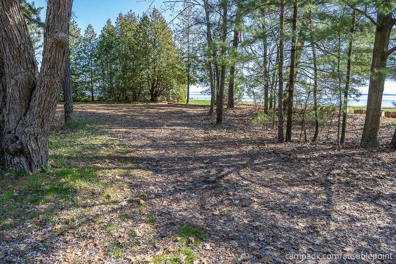 Campsite Photo of Site 8 at Ausable Point Campground, New York - Looking at Site from Road