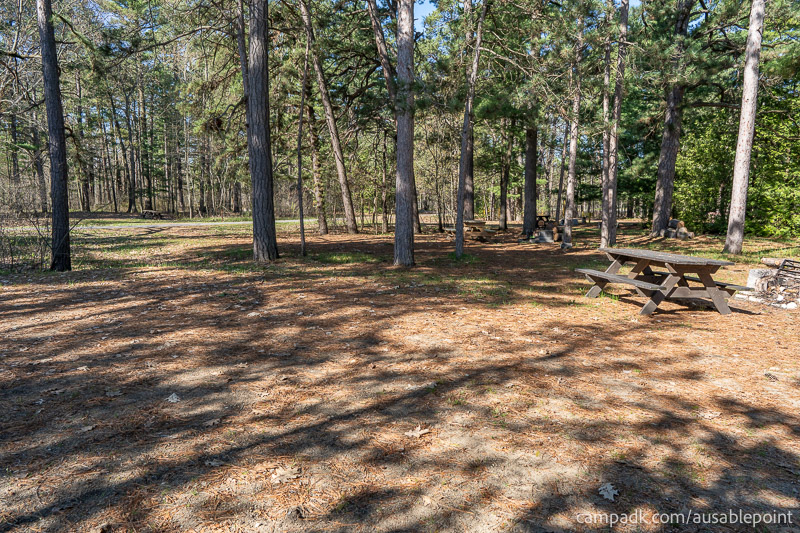 Campsite Photo of Site 8 at Ausable Point Campground, New York - Cross Site View