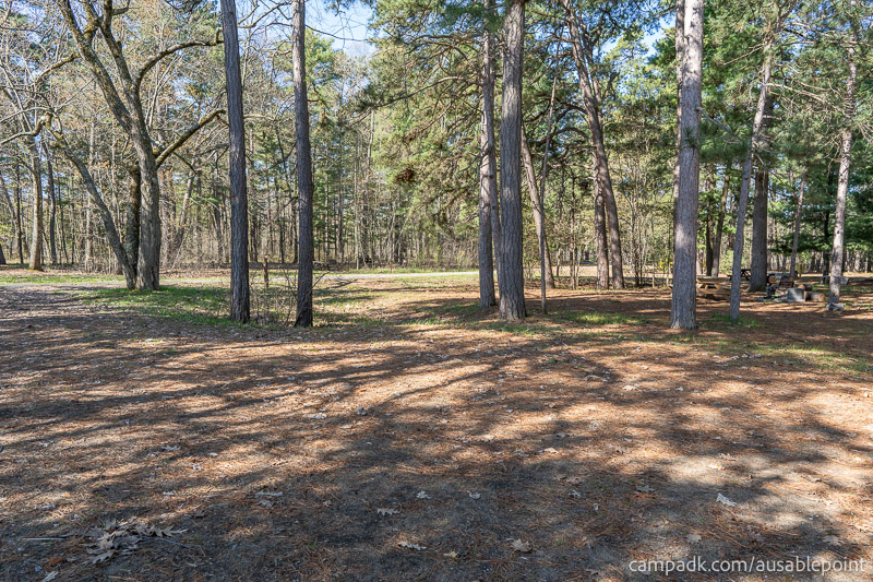 Campsite Photo of Site 8 at Ausable Point Campground, New York - Cross Site View
