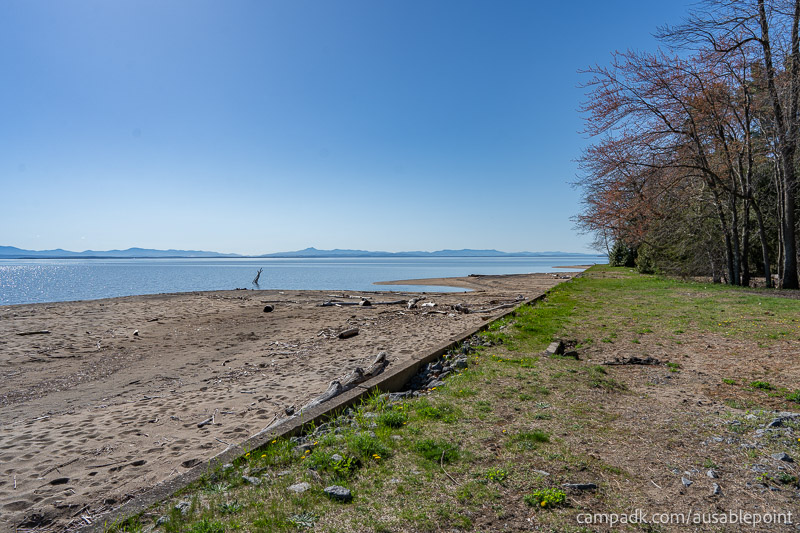 Campsite Photo of Site 8 at Ausable Point Campground, New York - Shoreline