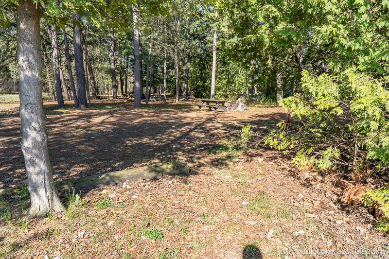 Campsite Photo of Site 8 at Ausable Point Campground, New York - Returning Along Pathway from Water