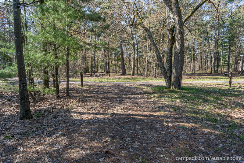 Campsite Photo of Site 8 at Ausable Point Campground, New York - Looking Back Towards Road