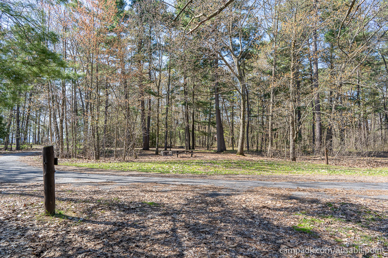 Campsite Photo of Site 8 at Ausable Point Campground, New York - Looking Back Towards Road