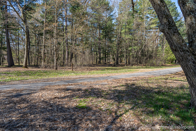 Campsite Photo of Site 8 at Ausable Point Campground, New York - Looking Back Towards Road