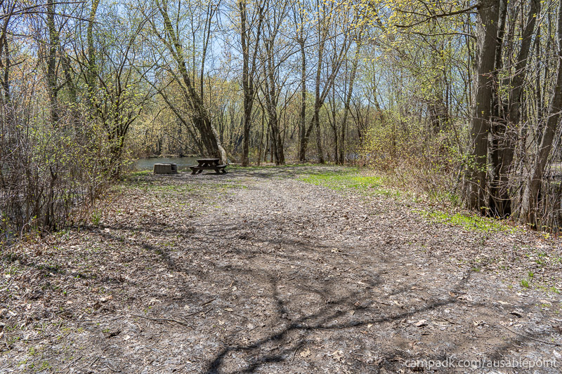Campsite Photo of Site 99 at Ausable Point Campground, New York - Looking at Site from Road
