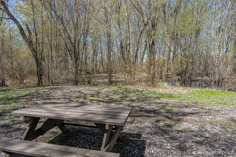 Campsite Photo of Site 99 at Ausable Point Campground, New York - Cross Site View