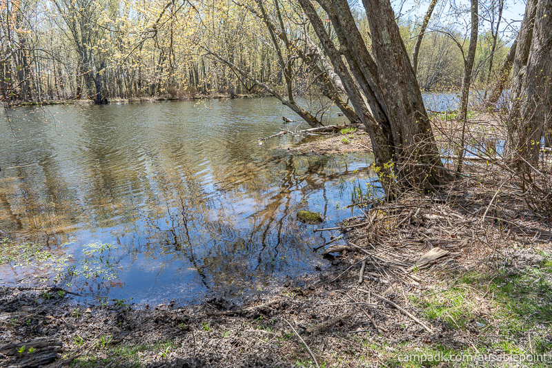 Campsite Photo of Site 99 at Ausable Point Campground, New York - Shoreline