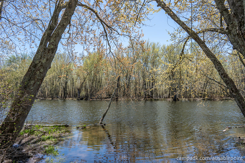 Campsite Photo of Site 99 at Ausable Point Campground, New York - View from Shoreline