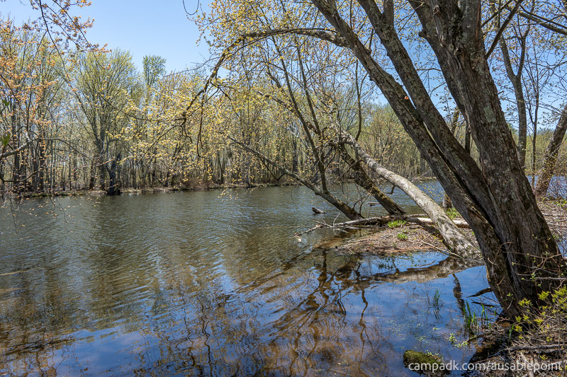 Campsite Photo of Site 99 at Ausable Point Campground, New York - View from Shoreline