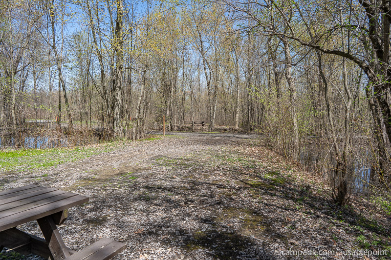Campsite Photo of Site 99 at Ausable Point Campground, New York - Looking Back Towards Road