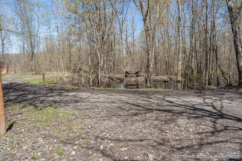 Campsite Photo of Site 99 at Ausable Point Campground, New York - Looking Back Towards Road