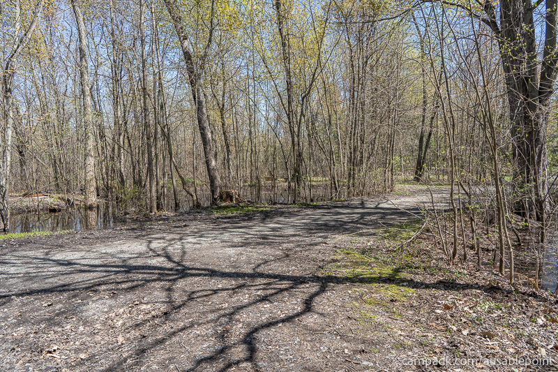 Campsite Photo of Site 99 at Ausable Point Campground, New York - Looking Back Towards Road