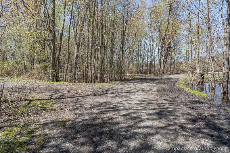 Campsite Photo of Site 99 at Ausable Point Campground, New York - View Down Road from Campsite