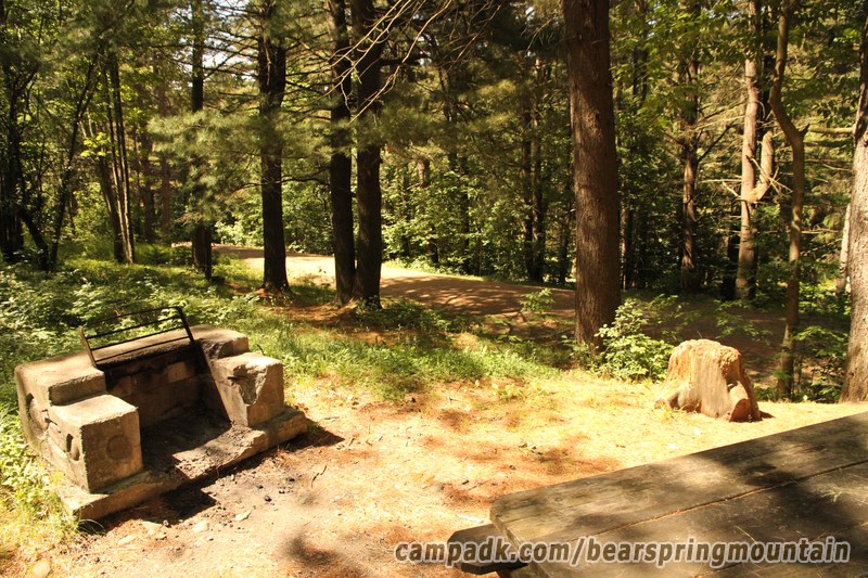 Campsite Photo of Site 1 at Bear Spring Mountain Campground, New York - Cross Site View
