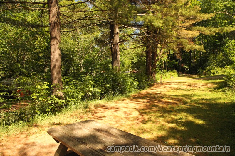 Campsite Photo of Site 1 at Bear Spring Mountain Campground, New York - Cross Site View