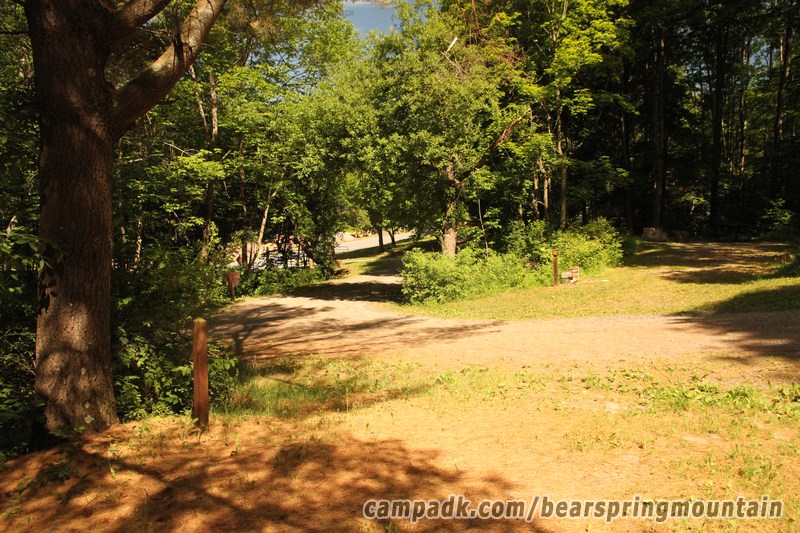 Campsite Photo of Site 1 at Bear Spring Mountain Campground, New York - Looking Back Towards Road