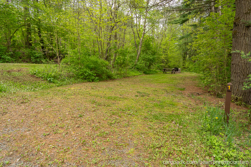 Campsite Photo of Site 1 at Bear Spring Mountain Campground, New York - Looking at Site from Road Sign Visible