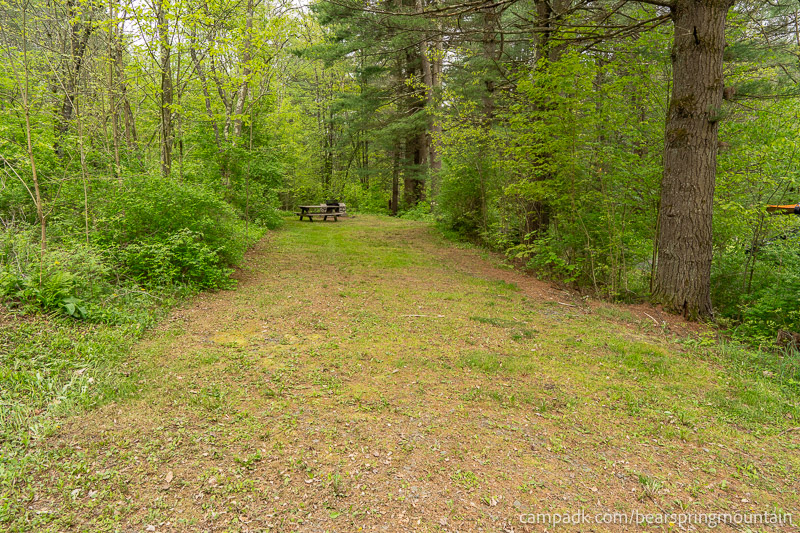 Campsite Photo of Site 1 at Bear Spring Mountain Campground, New York - Looking at Site from Road