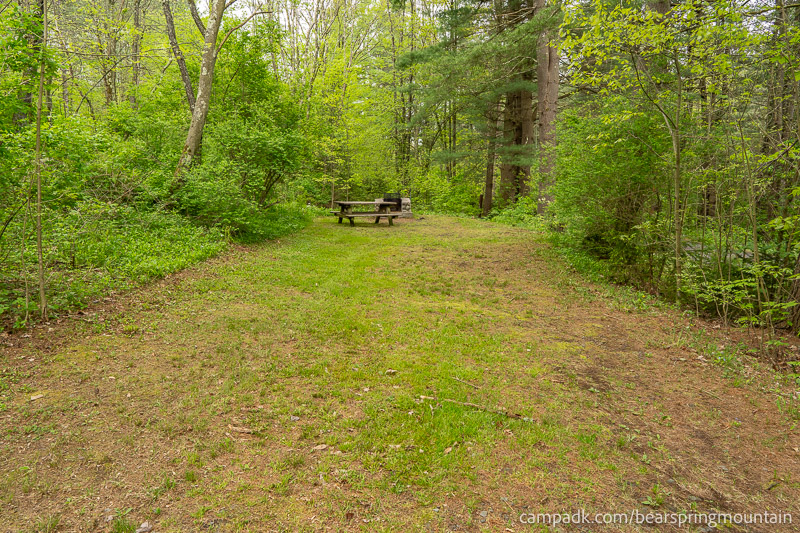 Campsite Photo of Site 1 at Bear Spring Mountain Campground, New York - Looking at Site from Part Way In