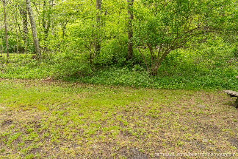 Campsite Photo of Site 1 at Bear Spring Mountain Campground, New York - Cross Site View
