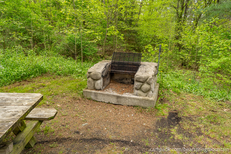 Campsite Photo of Site 1 at Bear Spring Mountain Campground, New York - Fireplace View