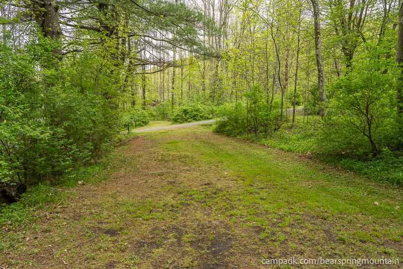 Campsite Photo of Site 1 at Bear Spring Mountain Campground, New York - Looking Back Towards Road
