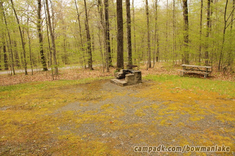 Campsite Photo of Site 105 at Bowman Lake State Park, New York - Cross Site View
