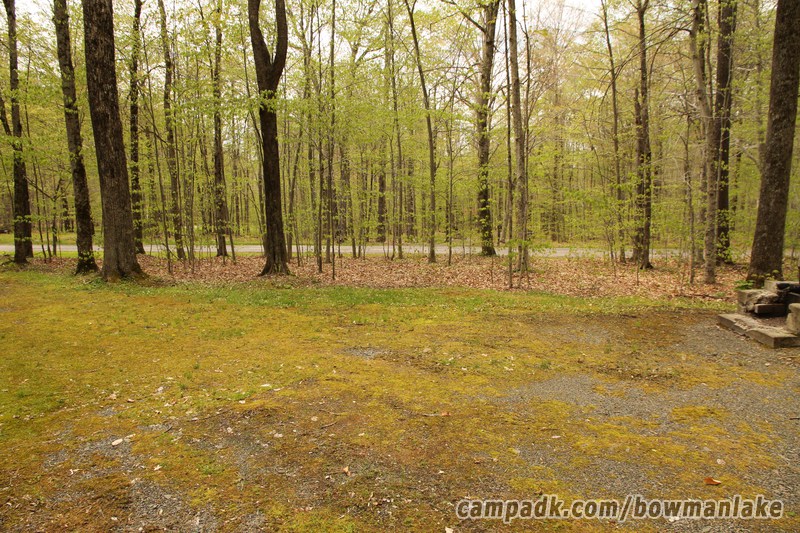 Campsite Photo of Site 105 at Bowman Lake State Park, New York - Cross Site View