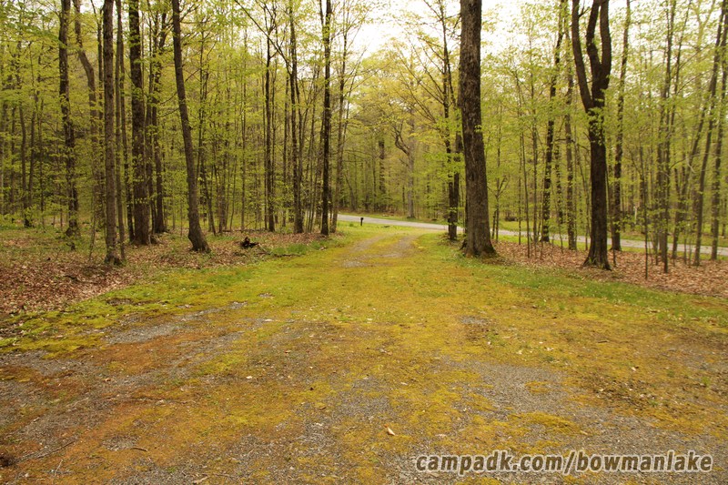 Campsite Photo of Site 105 at Bowman Lake State Park, New York - Looking Back Towards Road