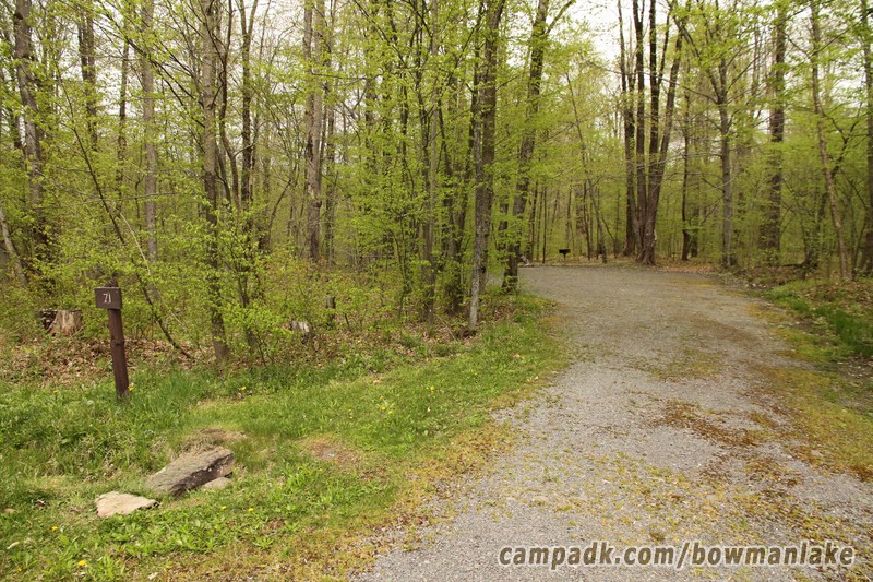 Campsite Photo of Site 93 at Bowman Lake State Park, New York - Looking at Site from Road Sign Visible
