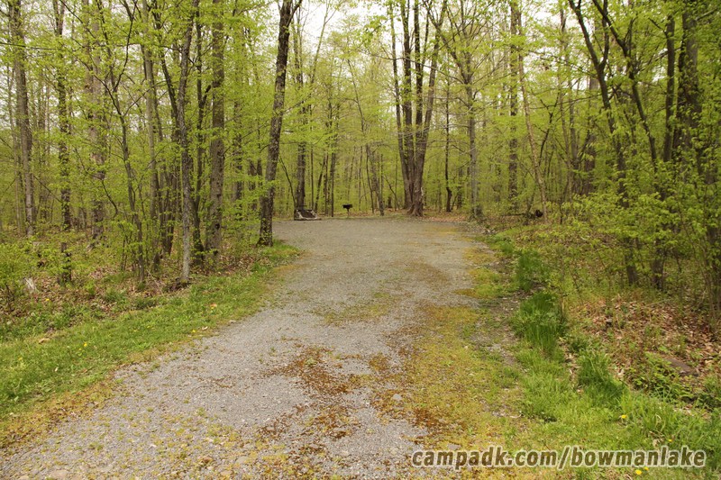 Campsite Photo of Site 93 at Bowman Lake State Park, New York - Looking at Site from Road