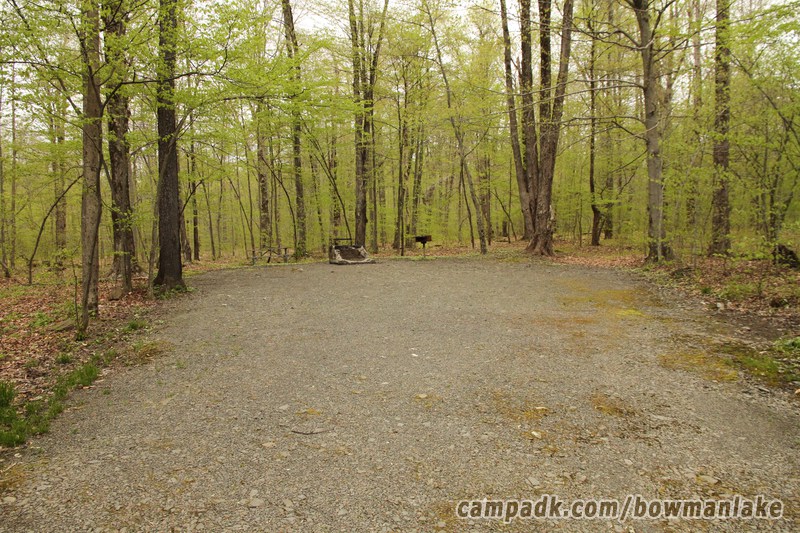 Campsite Photo of Site 93 at Bowman Lake State Park, New York - Looking at Site from Part Way In