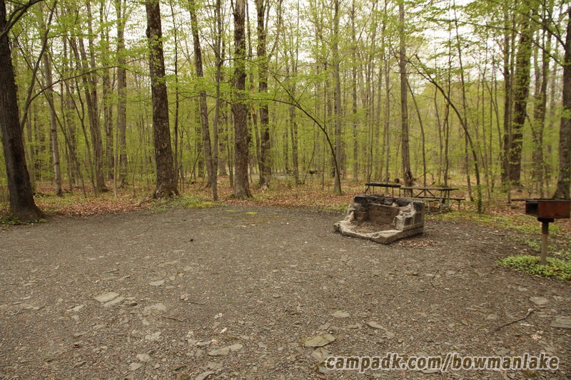 Campsite Photo of Site 93 at Bowman Lake State Park, New York - Cross Site View
