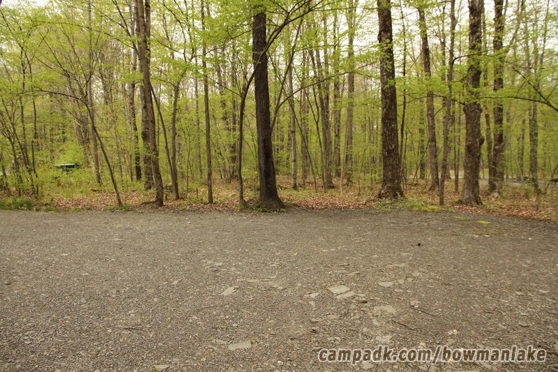 Campsite Photo of Site 93 at Bowman Lake State Park, New York - Cross Site View