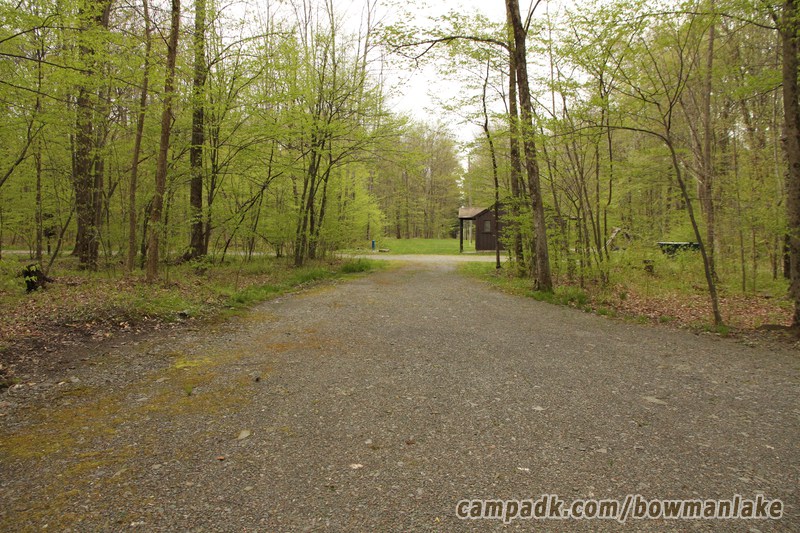 Campsite Photo of Site 93 at Bowman Lake State Park, New York - Looking Back Towards Road