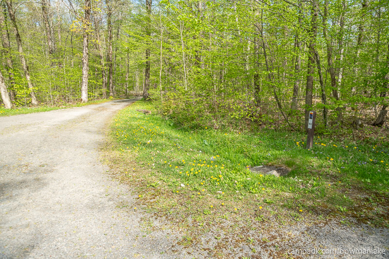 Campsite Photo of Site 93 at Bowman Lake State Park, New York - View Down Road from Campsite