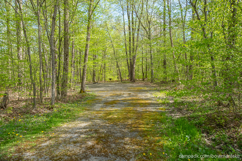 Campsite Photo of Site 93 at Bowman Lake State Park, New York - Looking at Site from Road