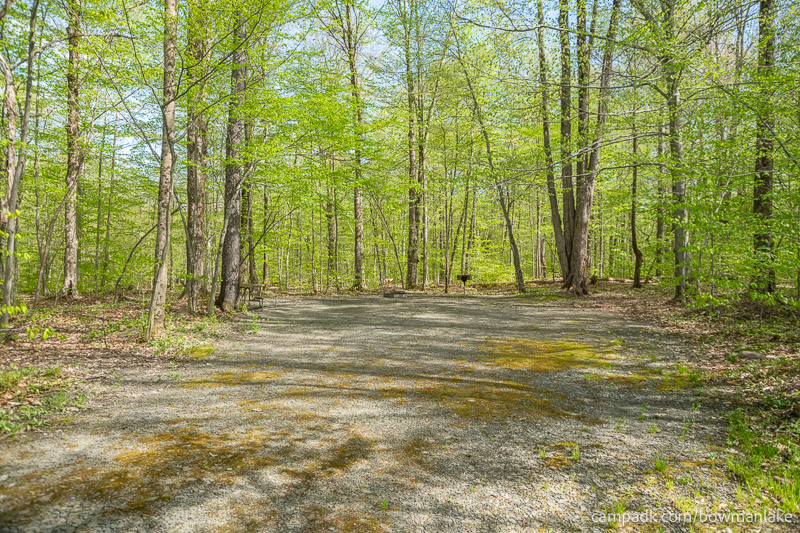 Campsite Photo of Site 93 at Bowman Lake State Park, New York - Looking at Site from Part Way In