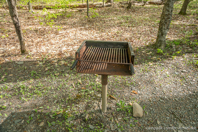 Campsite Photo of Site 93 at Bowman Lake State Park, New York - Fireplace View