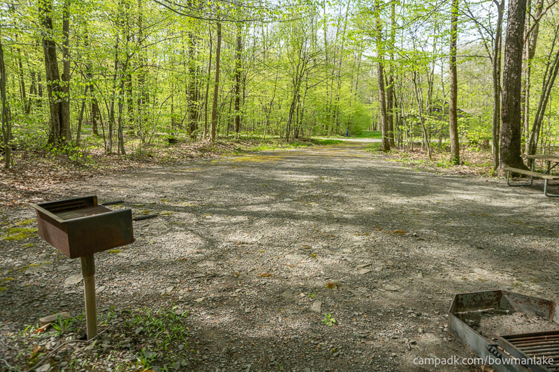 Campsite Photo of Site 93 at Bowman Lake State Park, New York - Looking Back Towards Road