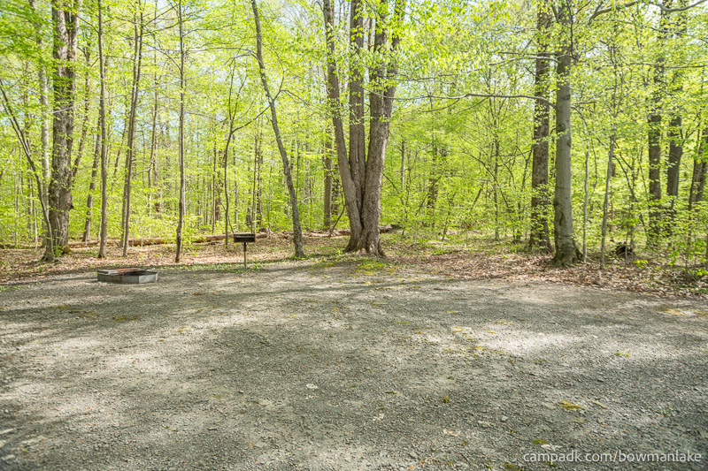 Campsite Photo of Site 93 at Bowman Lake State Park, New York - Cross Site View