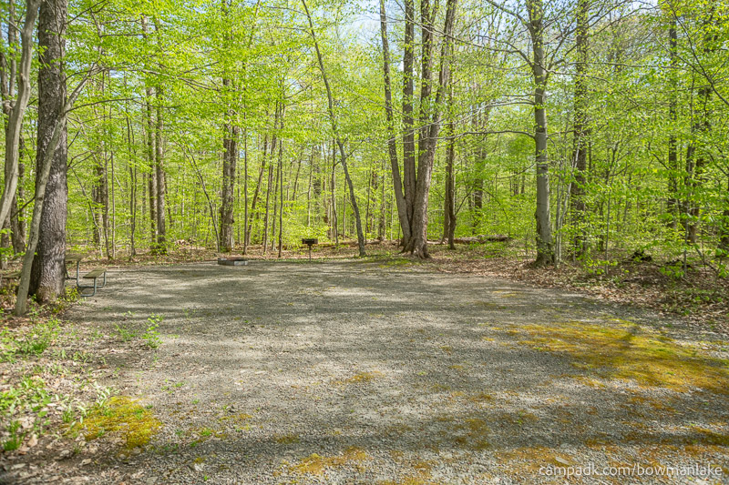 Campsite Photo of Site 93 at Bowman Lake State Park, New York - Looking at Site from Part Way In