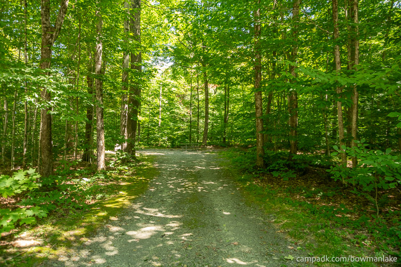 Campsite Photo of Site 105 at Bowman Lake State Park, New York - Looking at Site from Road
