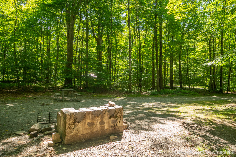 Campsite Photo of Site 105 at Bowman Lake State Park, New York - Cross Site View